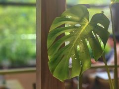 -小西家作(富力爱丁堡店)