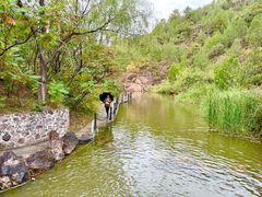 -云岫谷游猎自然风景区