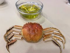 -王宝和酒家(黄浦店)