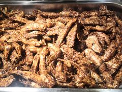 -芭菲盛宴·环球美食(北城国际店)