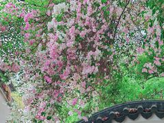 -深圳国际园林花卉博览园