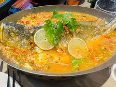 -佬肥猫(七宝宝龙店)