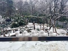 -红山森林动物园