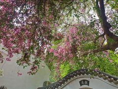 -深圳国际园林花卉博览园