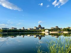 -莲花池公园