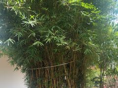 -湖南别院·美学庭院餐厅(惠阳店)