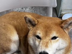 -小时光咖啡馆(北锣鼓巷店)