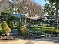 -龙大花卉苗木市场