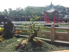 -广东圆玄道观