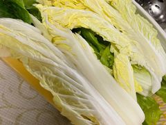 -百利鸽王(紫薇路店)