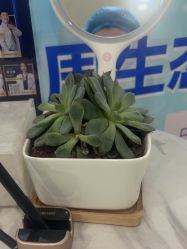-重庆联合丽格第五医疗美容医院