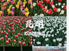 -捞渔河湿地公园