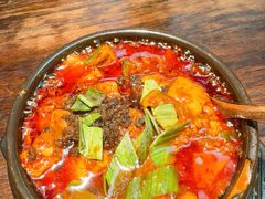 -陈麻婆豆腐(旗舰店)