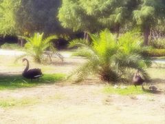 -昆山城市生态森林公园