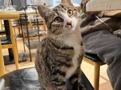 -汕头福合埕牛肉火锅店(花蕾路店)