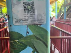 -亚龙湾热带天堂森林公园