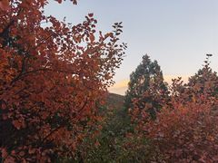 -北京西山国家森林公园