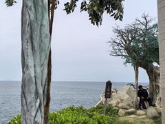 -海南分界洲岛旅游区