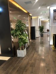 -崇尚GAVIN STYLE臻选