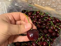 -菜园坝水果市场