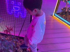 -Hi City·城市之巅