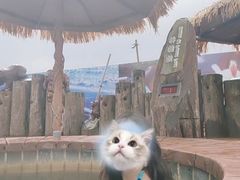 -长白山聚龙火山温泉