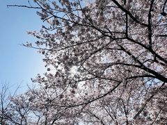 -上海辰山植物园