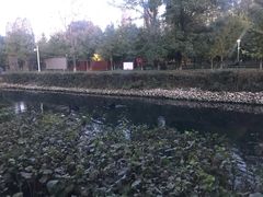 -长白岛森林公园