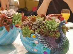 -城南往事(滨江世茂店)