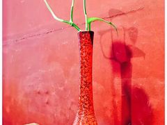 -PIZZERIA大黄鸭披萨