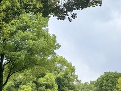 -重庆彩云湖湿地公园