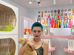 -青奢宠物·青奢猫舍