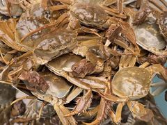 -陈胖子特色菜.鲜货现炒(融景城店)