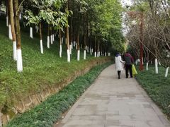 -重庆彩云湖湿地公园