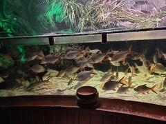 -太平洋海底世界