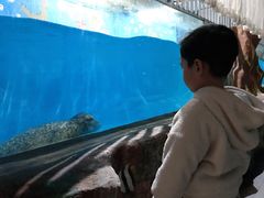 -常州海昌海洋探索馆