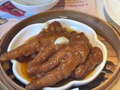 -点都德·毕德寮