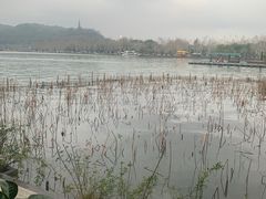 -湖畔居茶楼(湖滨店)