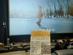 -英皇电影城(平安金融中心IMAX激光店)