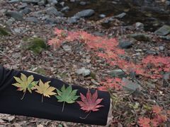 -本溪老边沟风景区