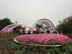 -海珠湖公园