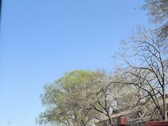 -皇家御河游(紫御湾码头)