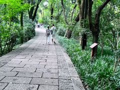-吴山景区
