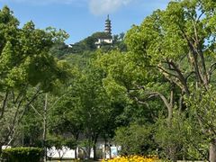 -苏州上方山国家森林公园