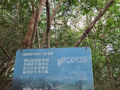 -南山风景名胜区