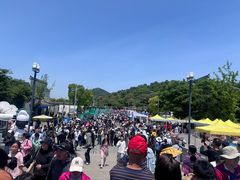 -采石矶景区