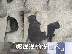 -野水沟小商品批发市场