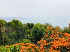 -涠洲岛火山国家地质公园
