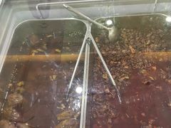 -鸿运兔·手撕烤兔(天府广场店)