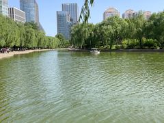 -团结湖公园